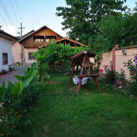 Vila Speranta Pleşcoi Exterior foto