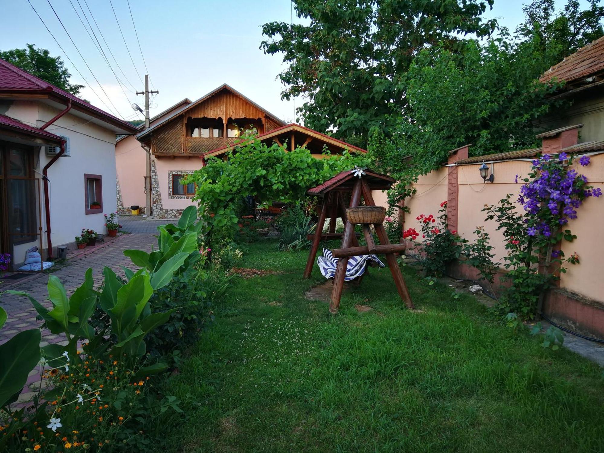 Vila Speranta Pleşcoi Exterior foto